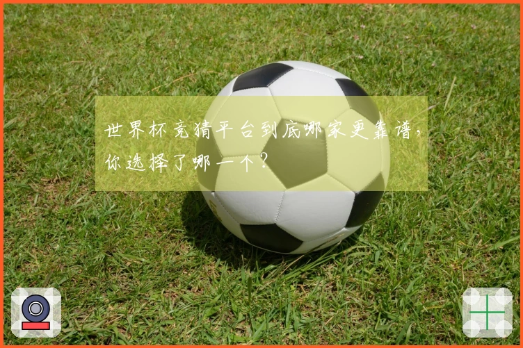 世界杯竞猜平台到底哪家更靠谱，你选择了哪一个？