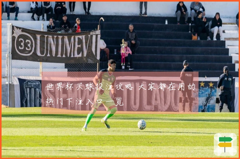 世界杯买球投注攻略 大家都在用的热门下注入口一览