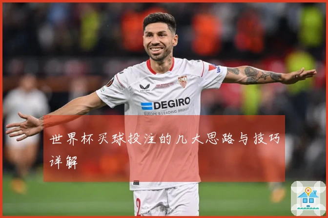 世界杯买球投注的几大思路与技巧详解