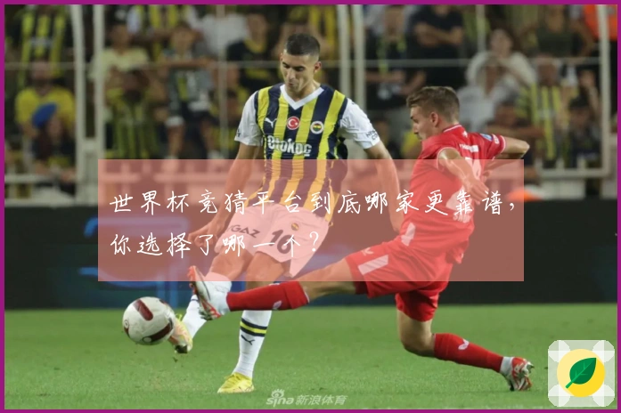 世界杯竞猜平台到底哪家更靠谱，你选择了哪一个？