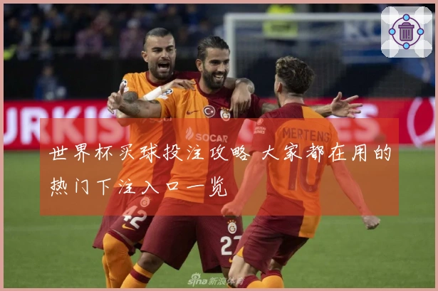 世界杯买球投注攻略 大家都在用的热门下注入口一览